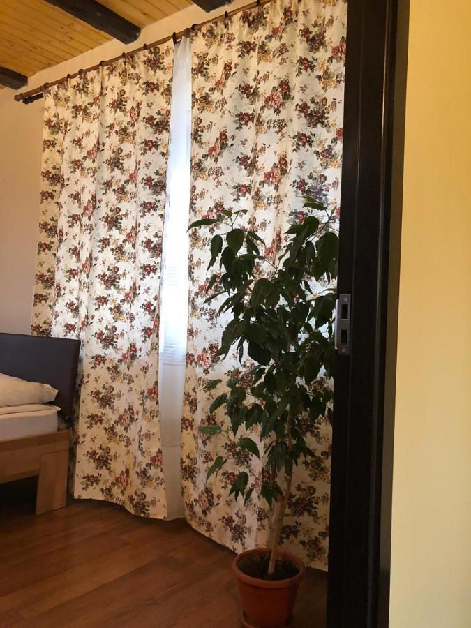 Casa Albert Valea Avrigului Екстер'єр фото